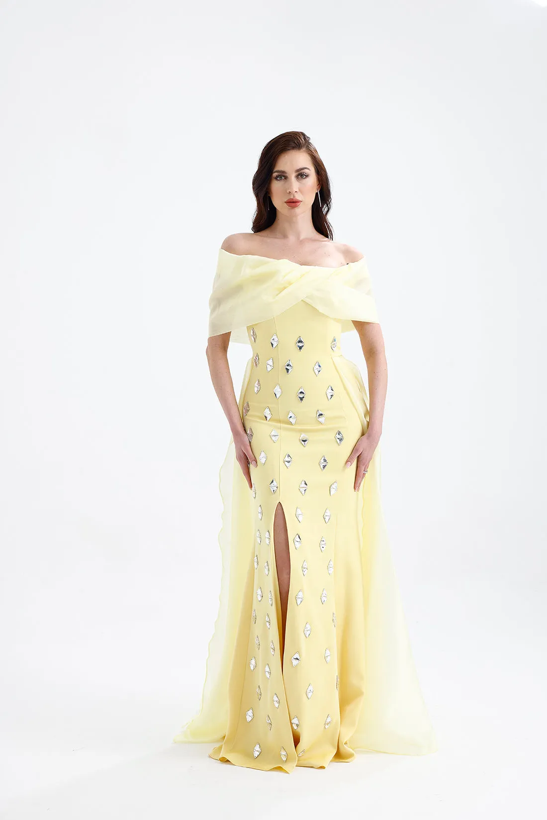 𝐒𝐇𝐄𝐋𝐁𝐘 Off Shoulder Organza Embroidered Long Evening Dress T56751