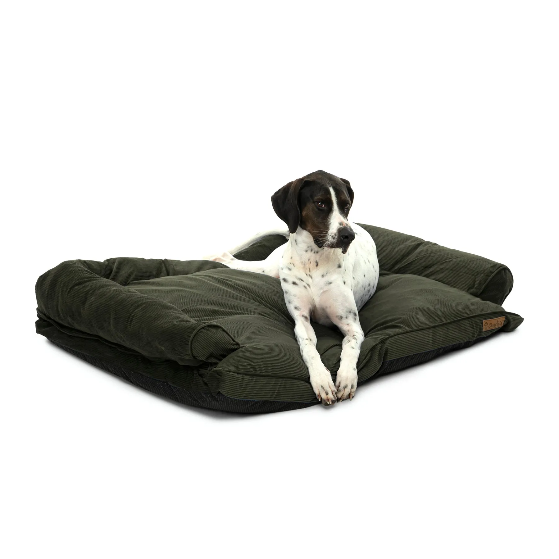 Charlie's Corduroy Dog Sofa Bed Green Large