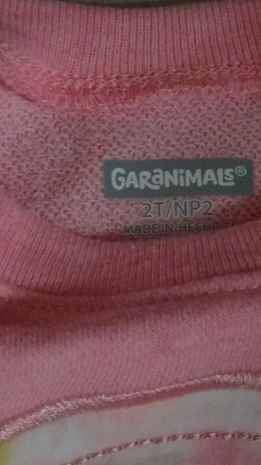 Christmas Gift 2T Tops