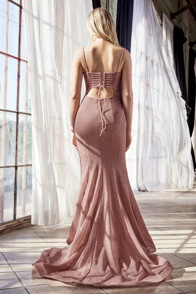 Cinderella Evening Dress CB054