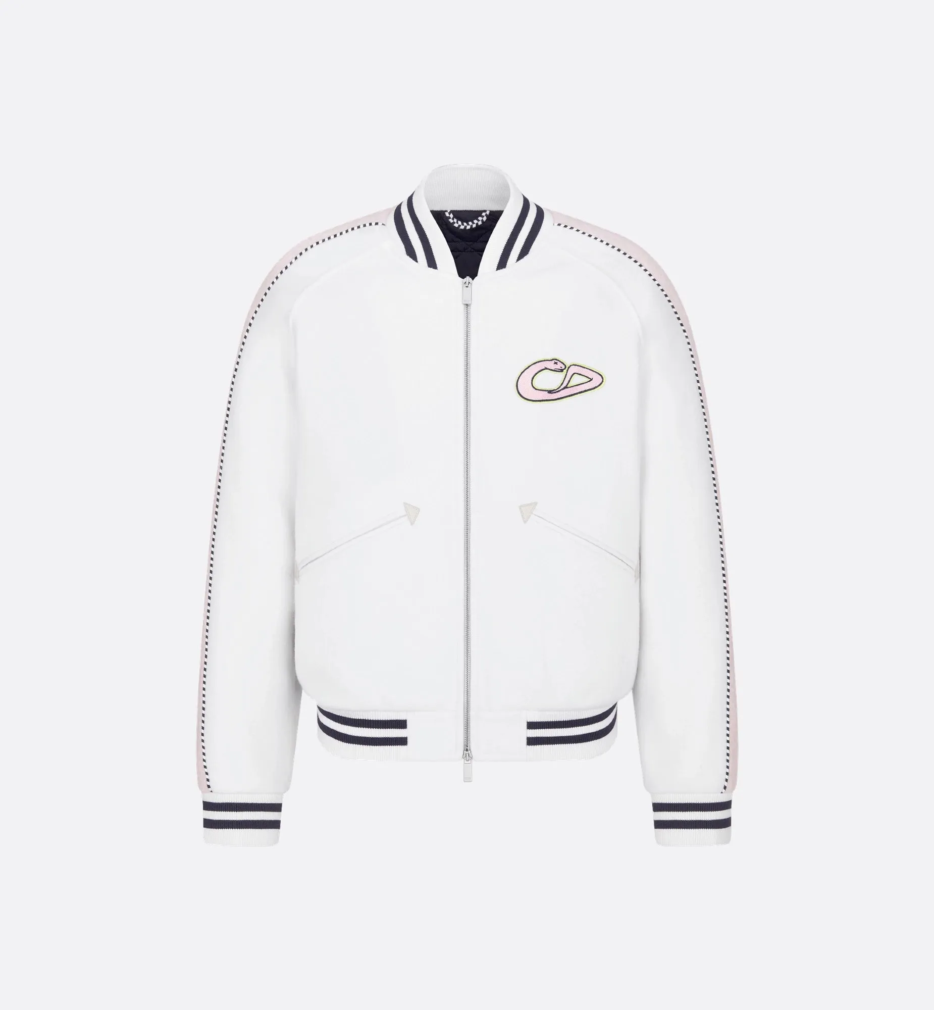 Dior And Kaws Varsity Jacket