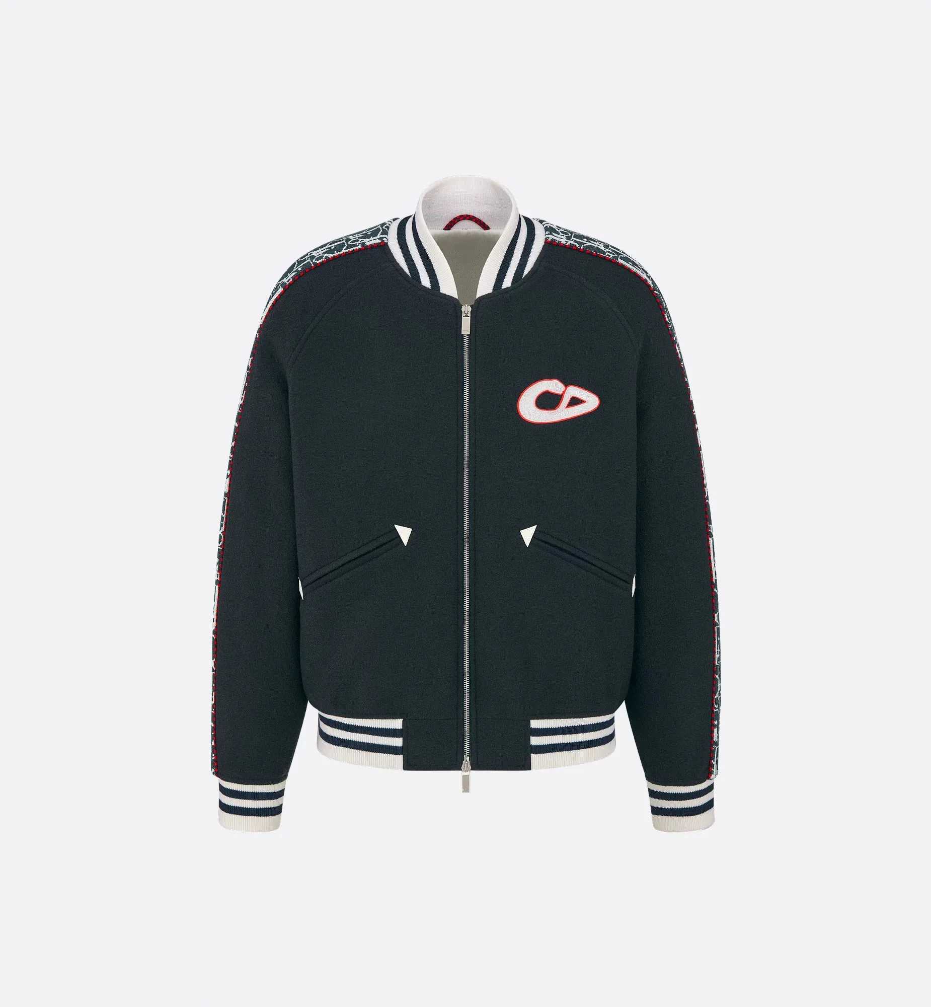 Dior And Kaws Varsity Jacket