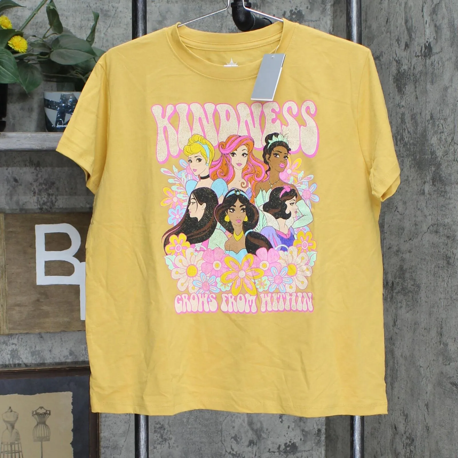 Disney Women's Princess Kindness Short Sleeve Graphic T-Shirt Tee