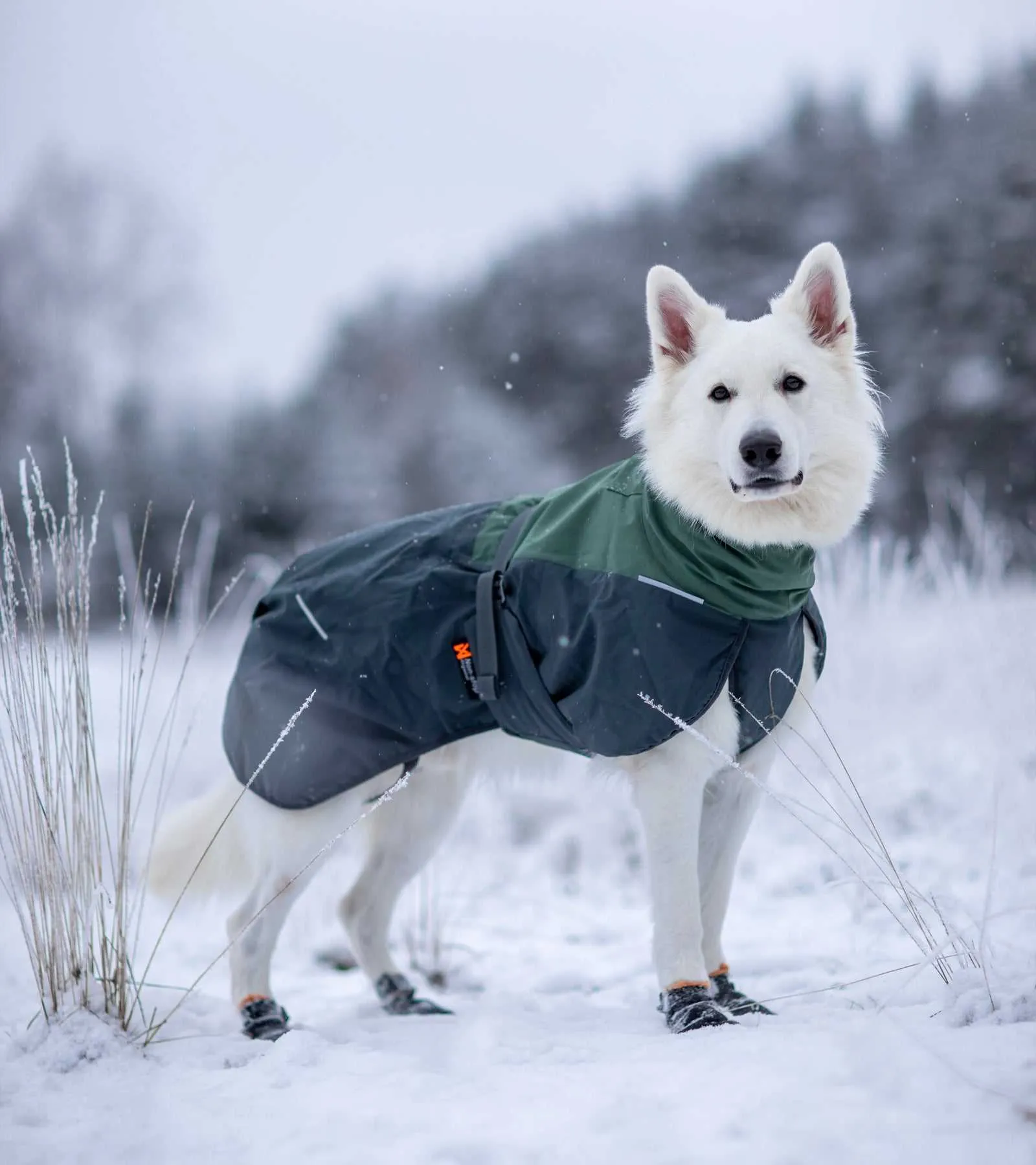 Glacier Wool Jacket 2.0
