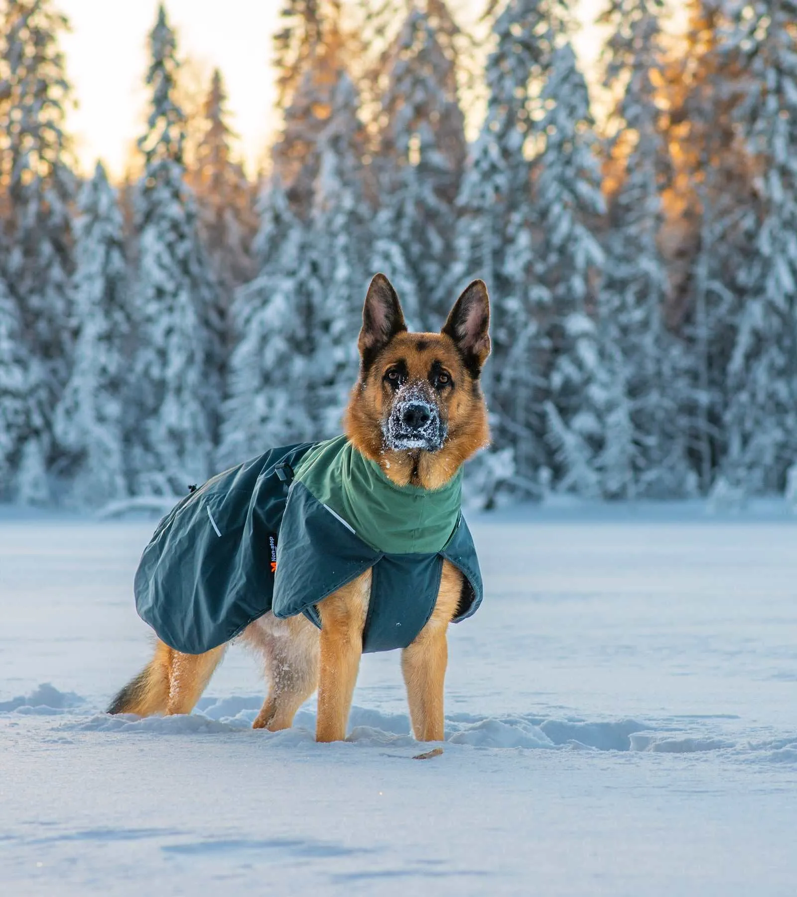 Glacier Wool Jacket 2.0