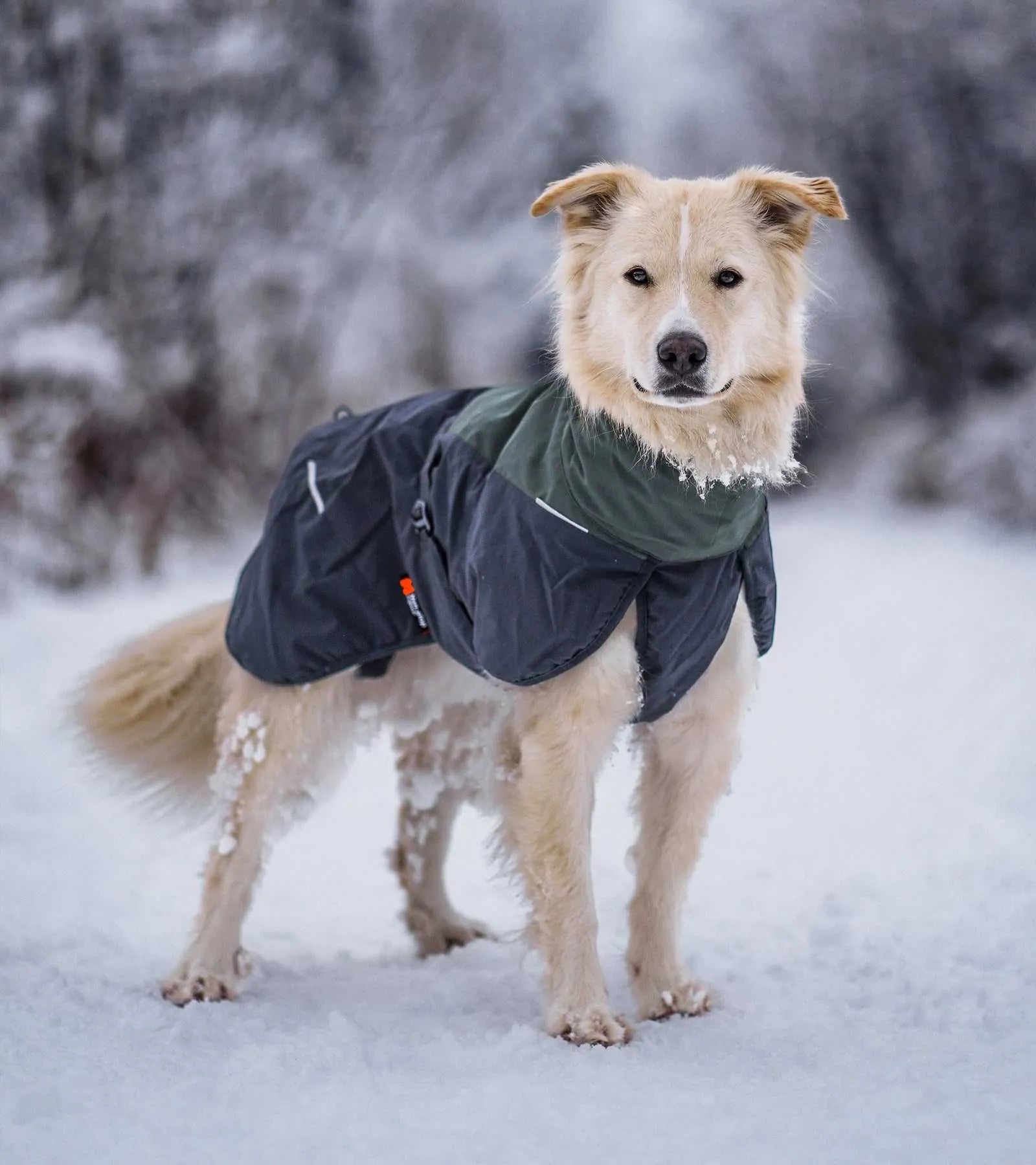 Glacier Wool Jacket 2.0