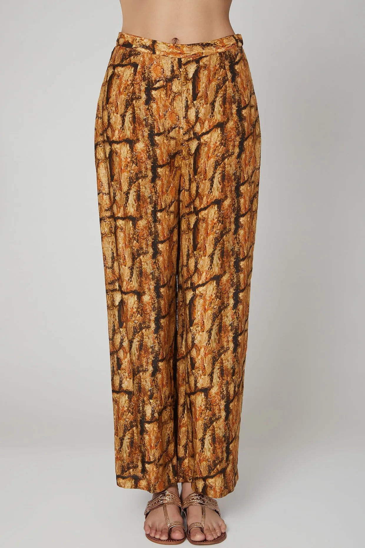 Gold & Brown Printed Kurta With Pants