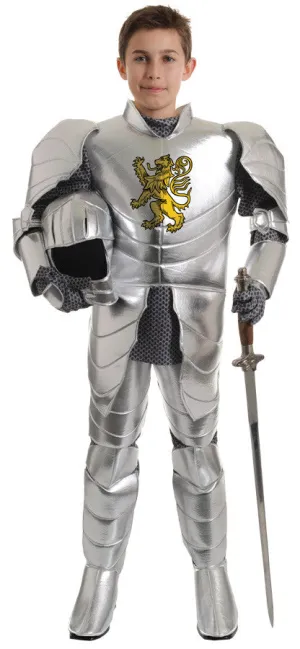 Knight Child Small Child Boys Costume