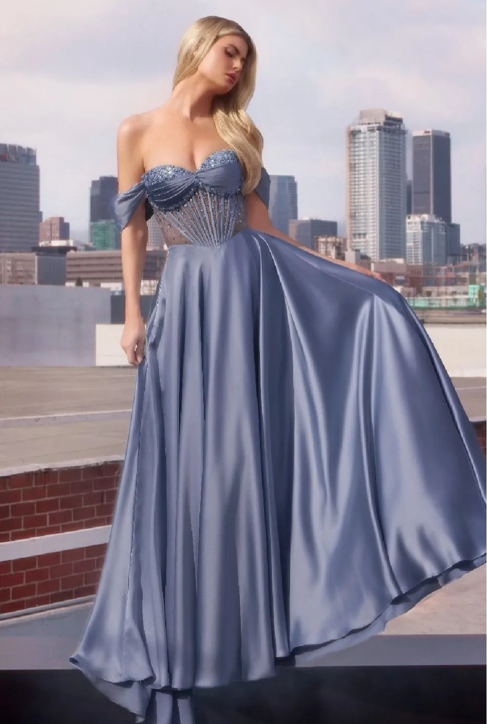 LaDivine by Cinderella Divine Evening Gown CD297