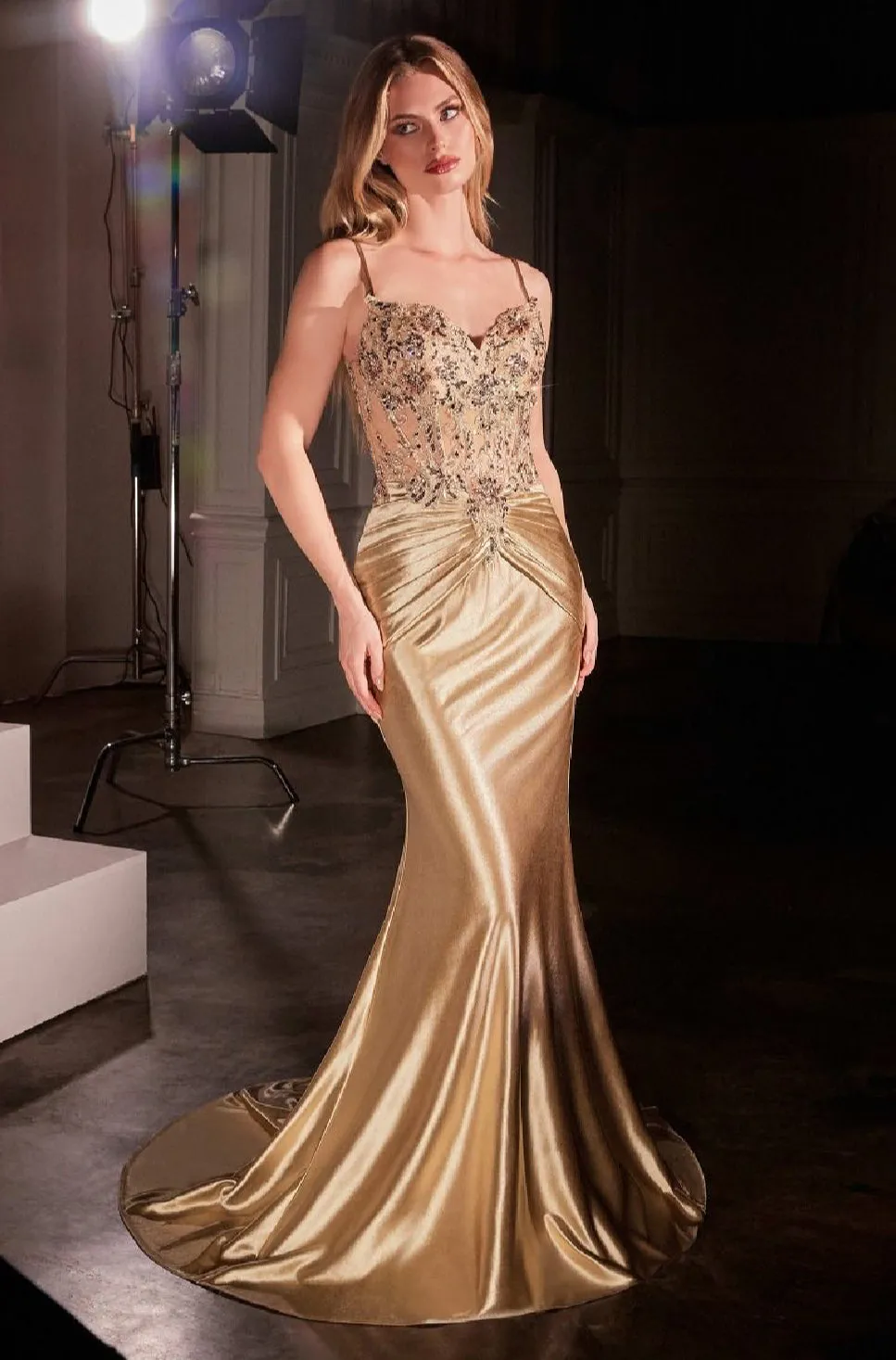LaDivine by Cinderella Divine Evening Gown CD776