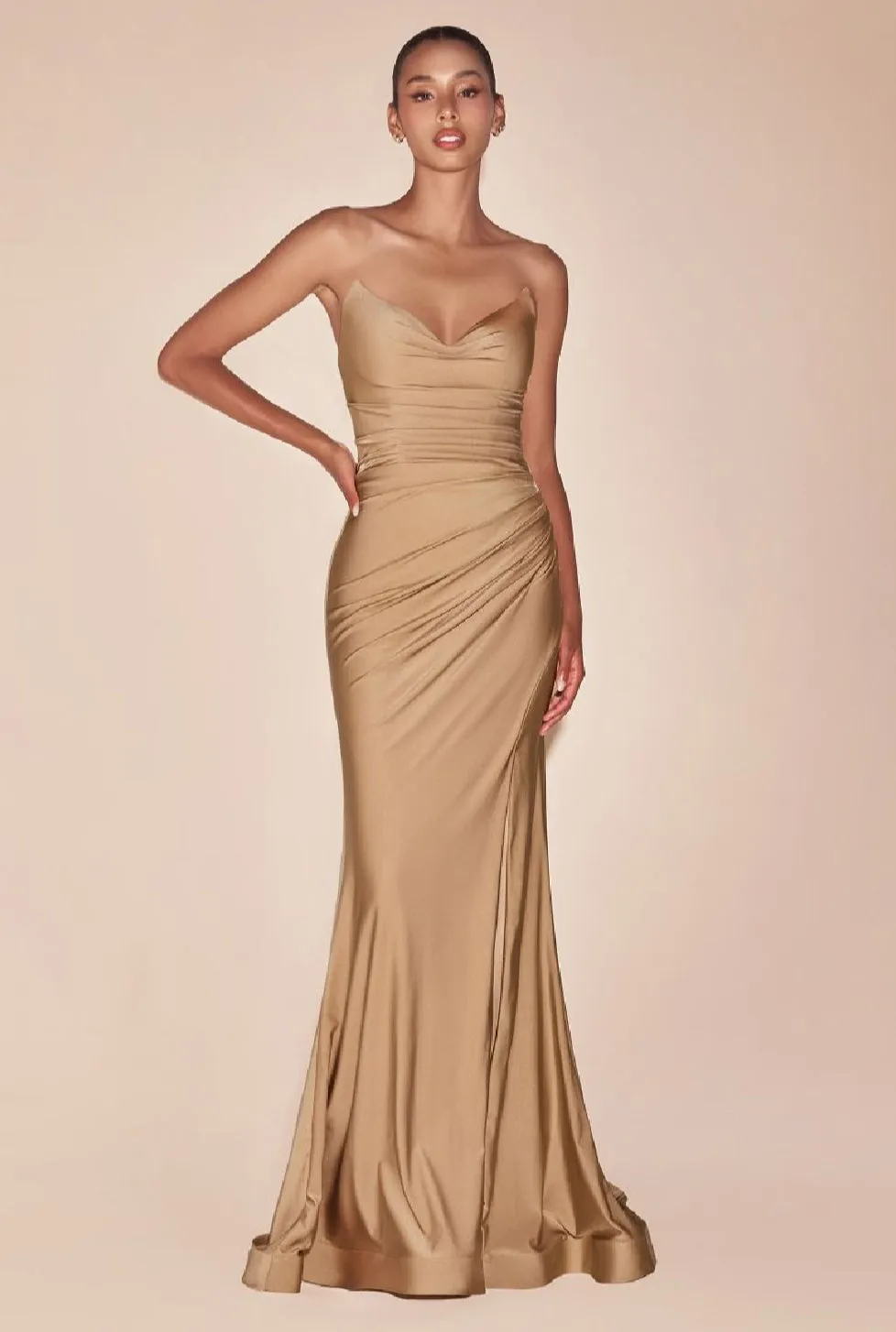 LaDivine by Cinderella Divine Evening Gown CD791 pt.1