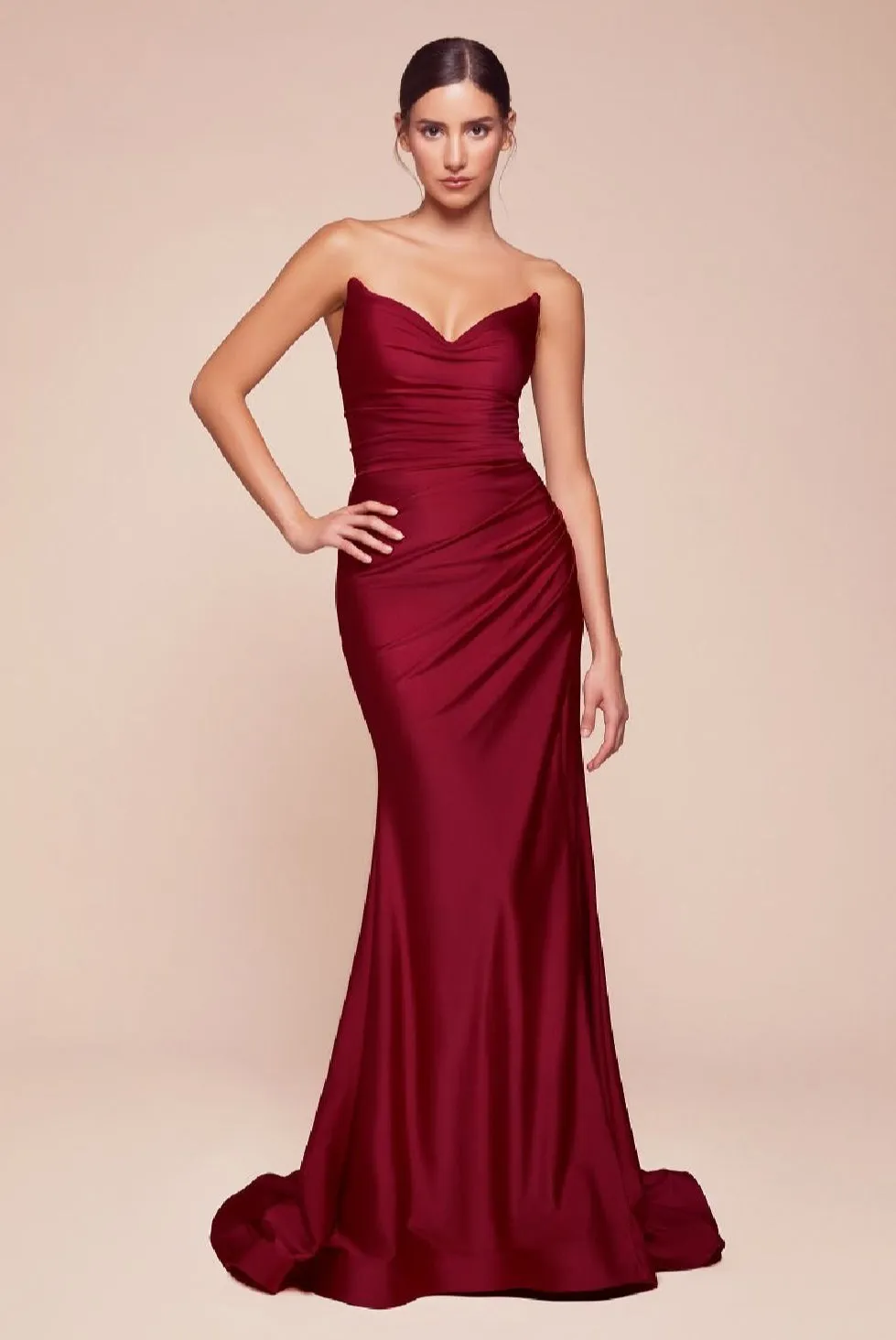 LaDivine by Cinderella Divine Evening Gown CD791 pt.1