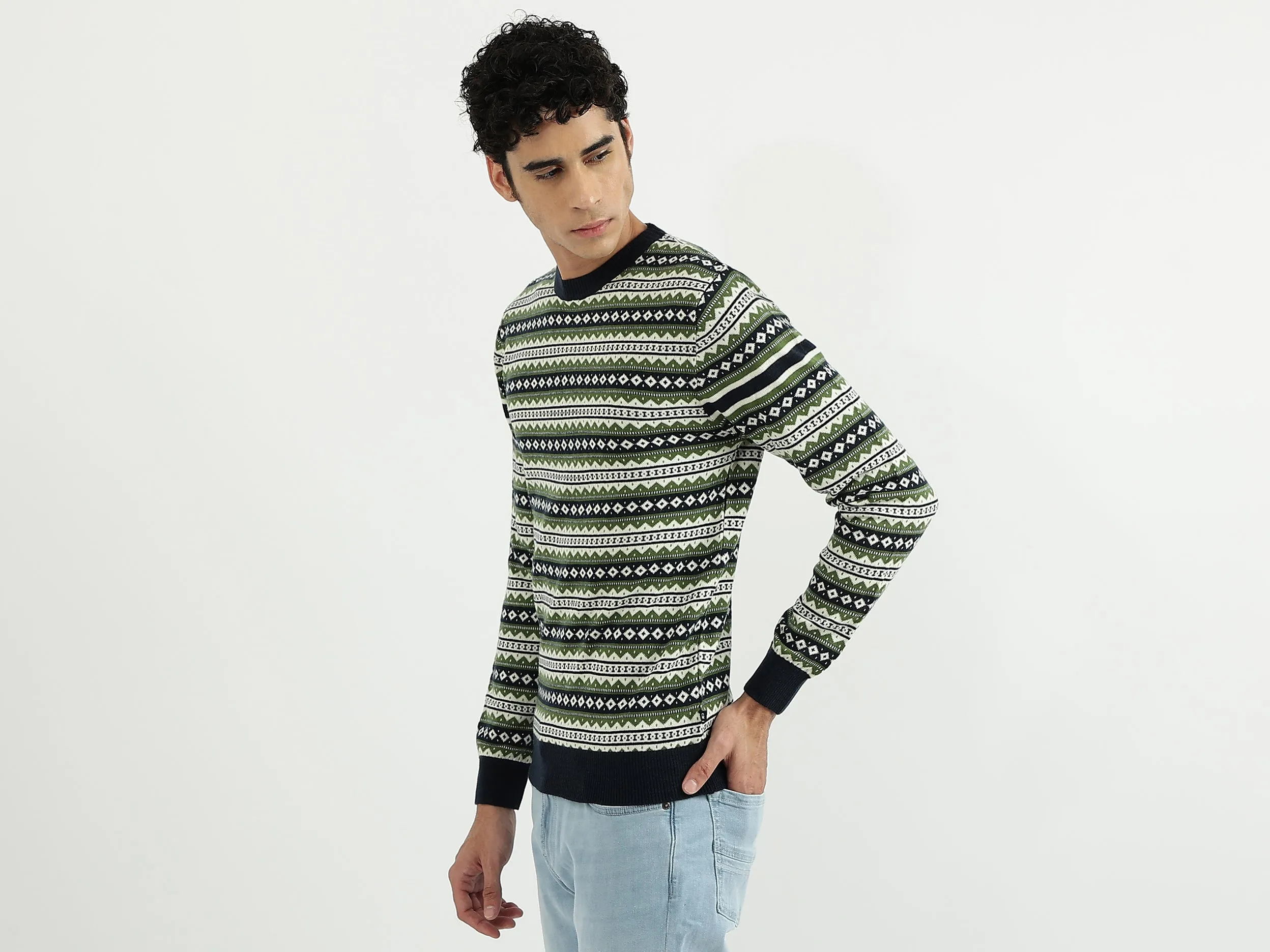 Men Patterned Round Neck Sweater