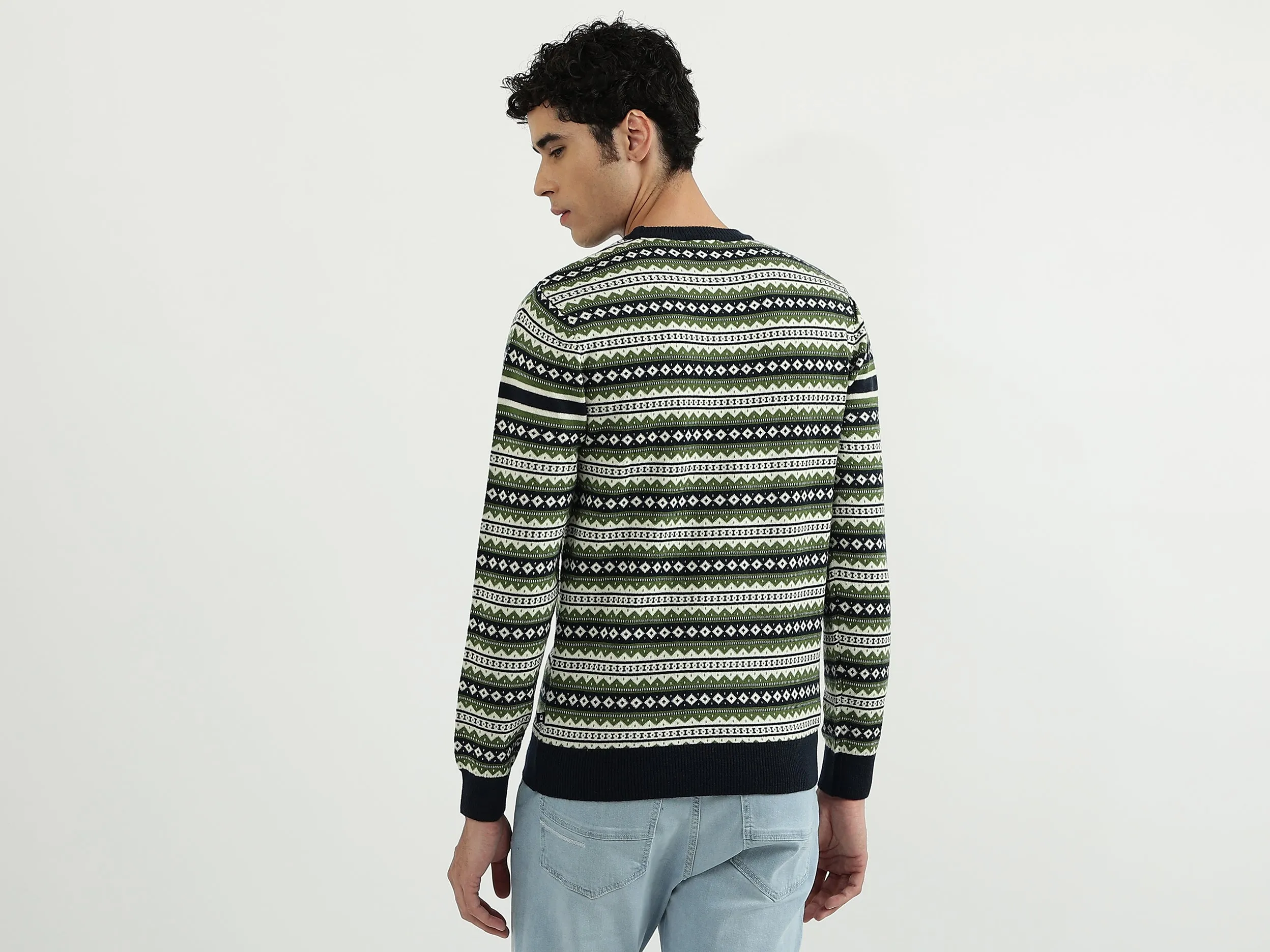 Men Patterned Round Neck Sweater