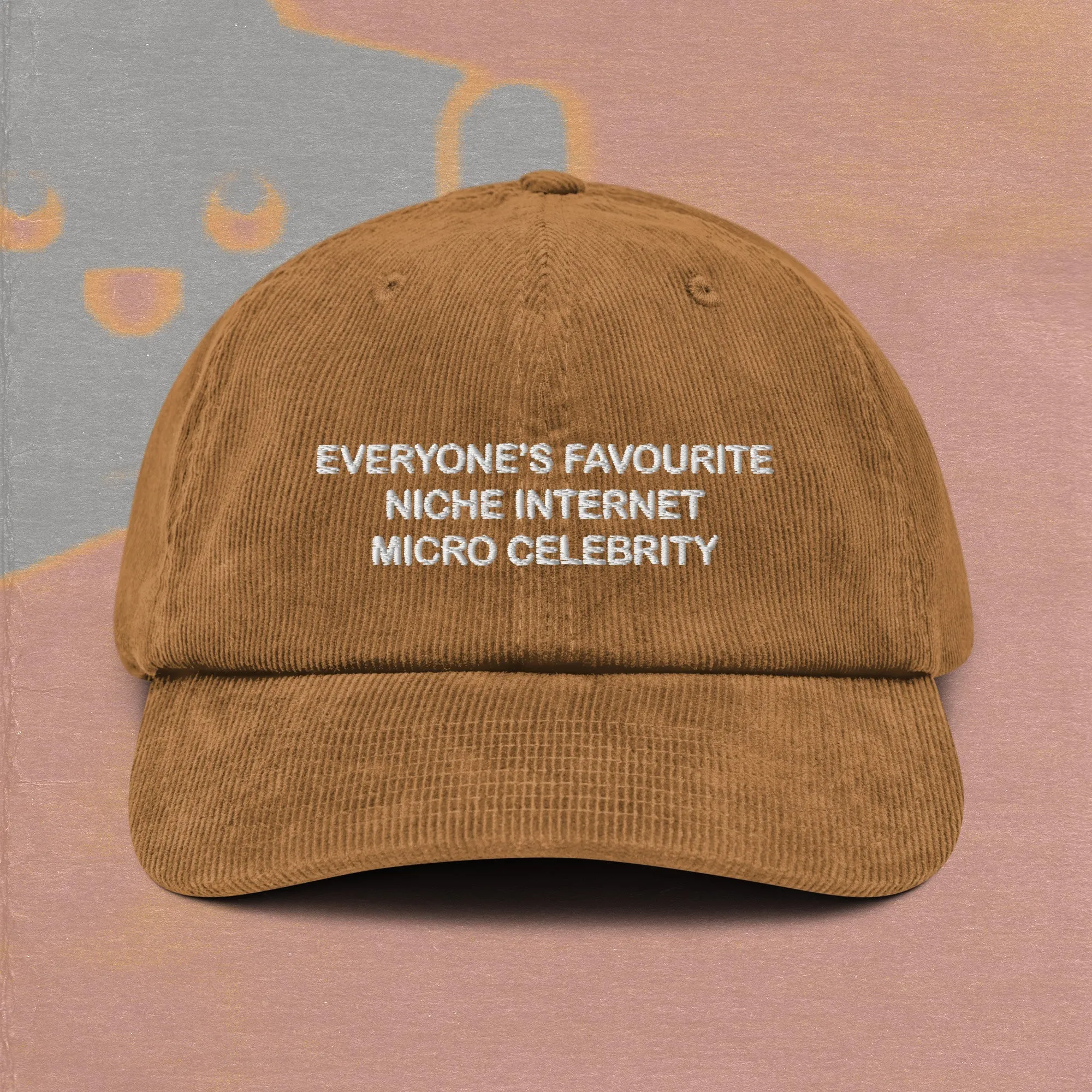 niche internet micro celebrity