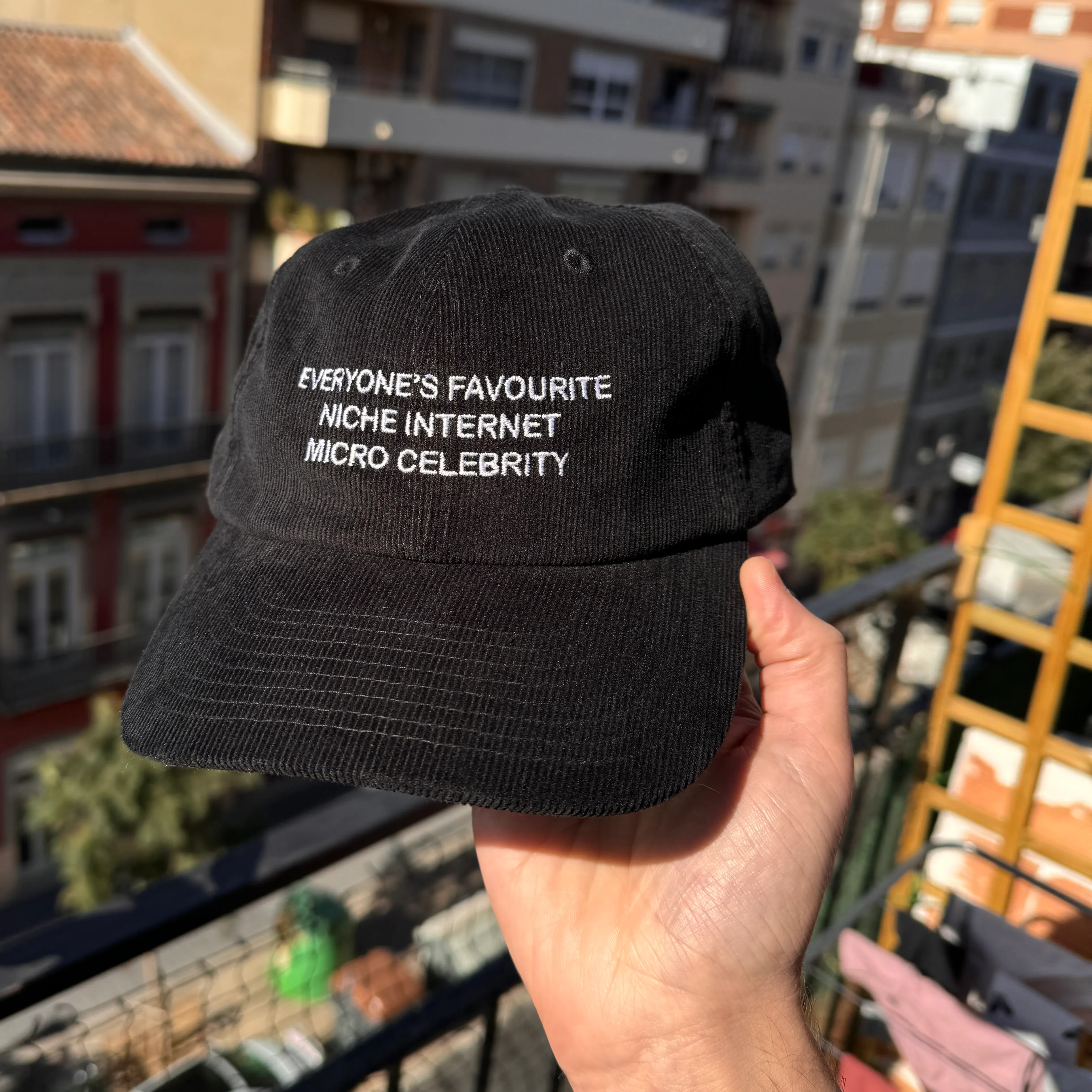 niche internet micro celebrity