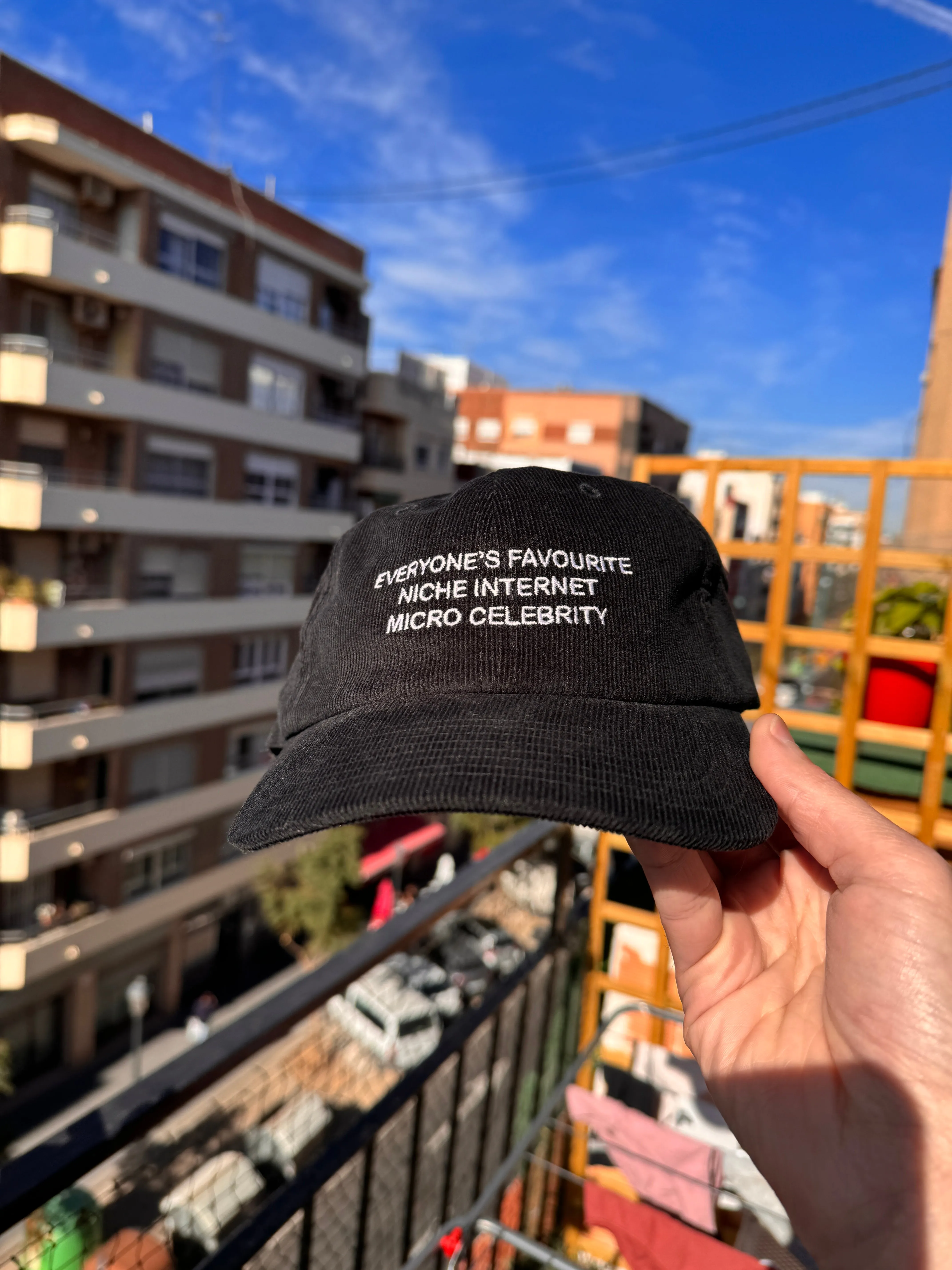 niche internet micro celebrity