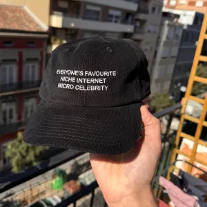 niche internet micro celebrity