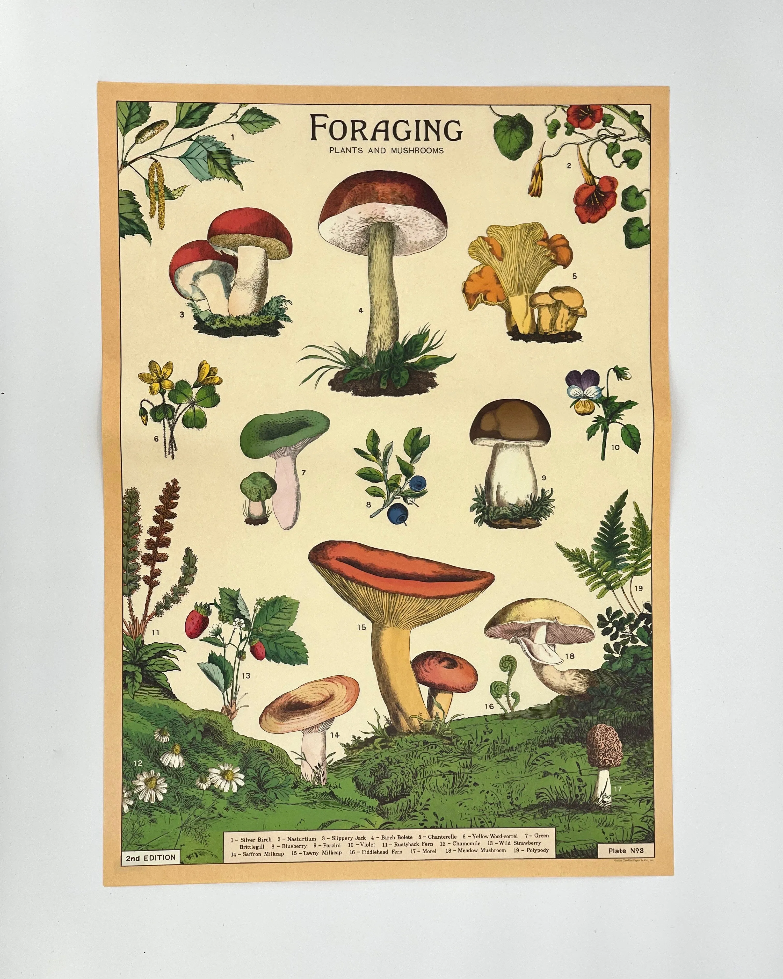 Posters / Giftwrap