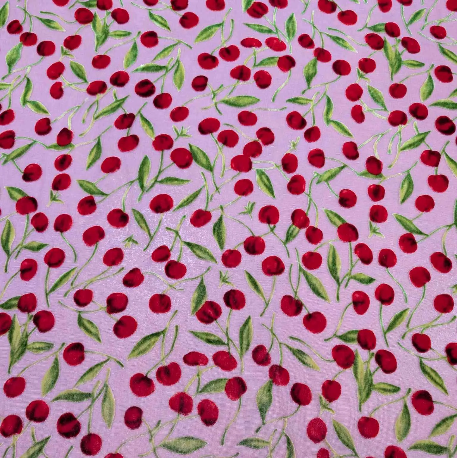 Silk Burnout Velvet, Cherries