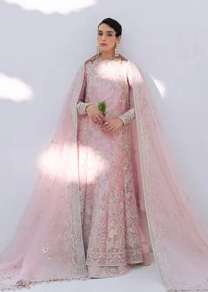 SUFFUSE | FREESHIA RTW' 24 | FALEK